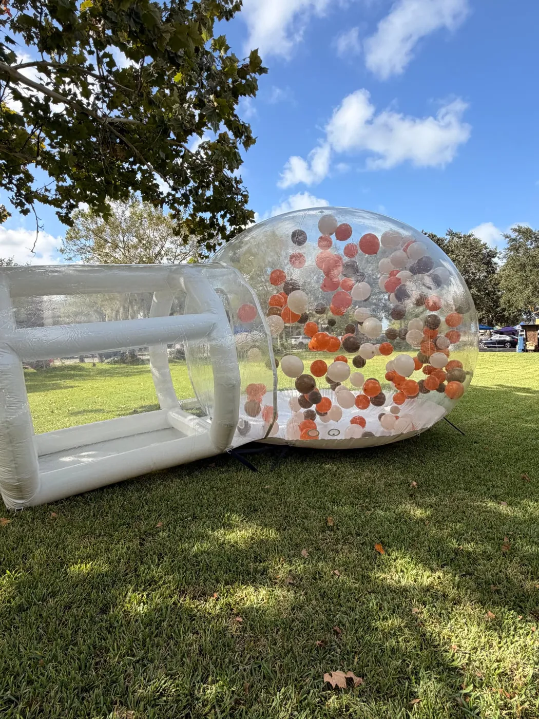 Clear XL bubble house filled with orange, white and brown balloons on grass